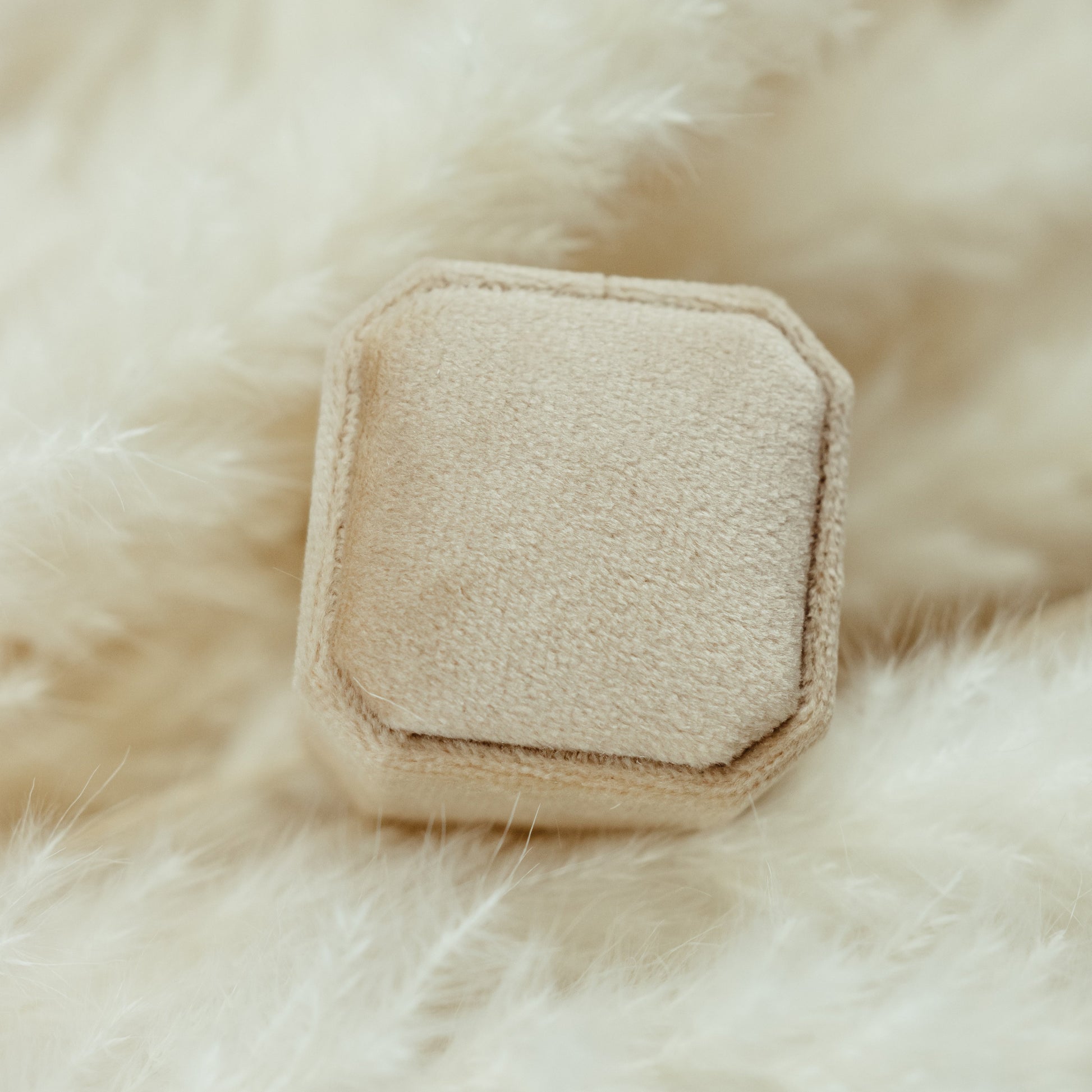 Your Wedding Rings Have Never Looked As Beautiful As They Will in This Special Velvet Ring Box Made Just for Showing Off in Wedding Photos and Well Past Your Wedding Day